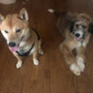 Meet your Posher, Kim